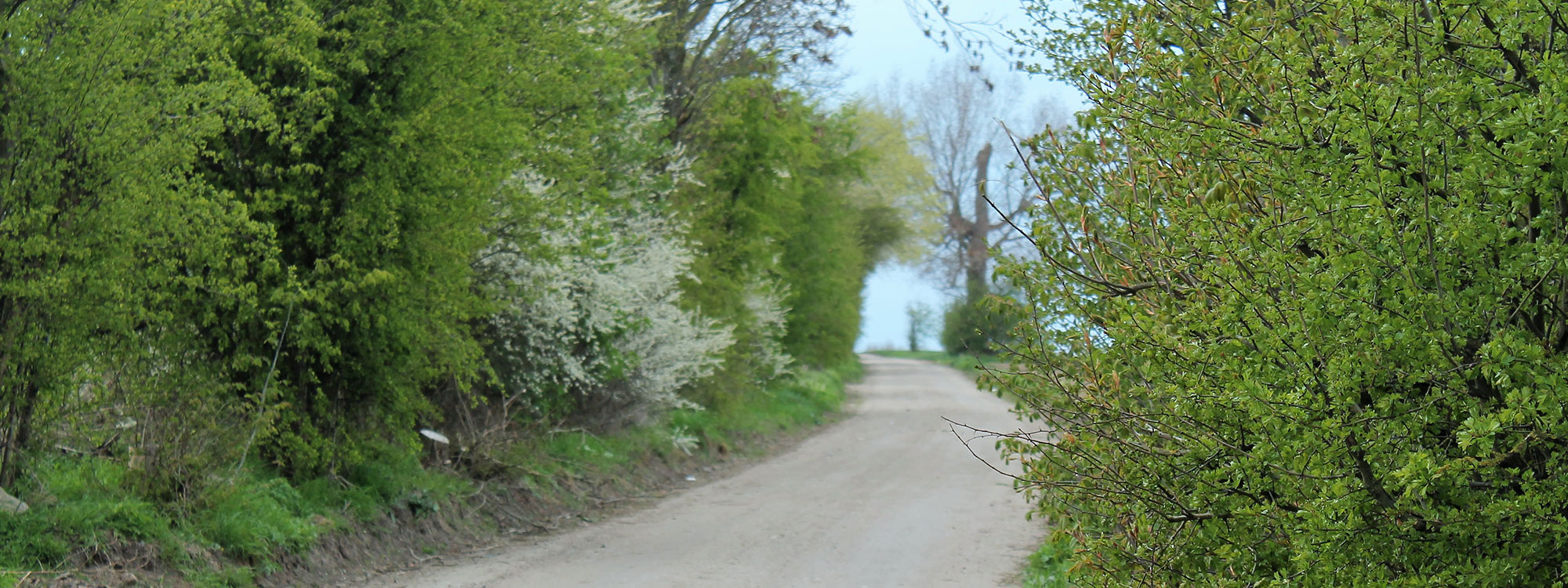 Willkommen in Zierow in MecklenburgVorpommern (Offizielle Webseite)